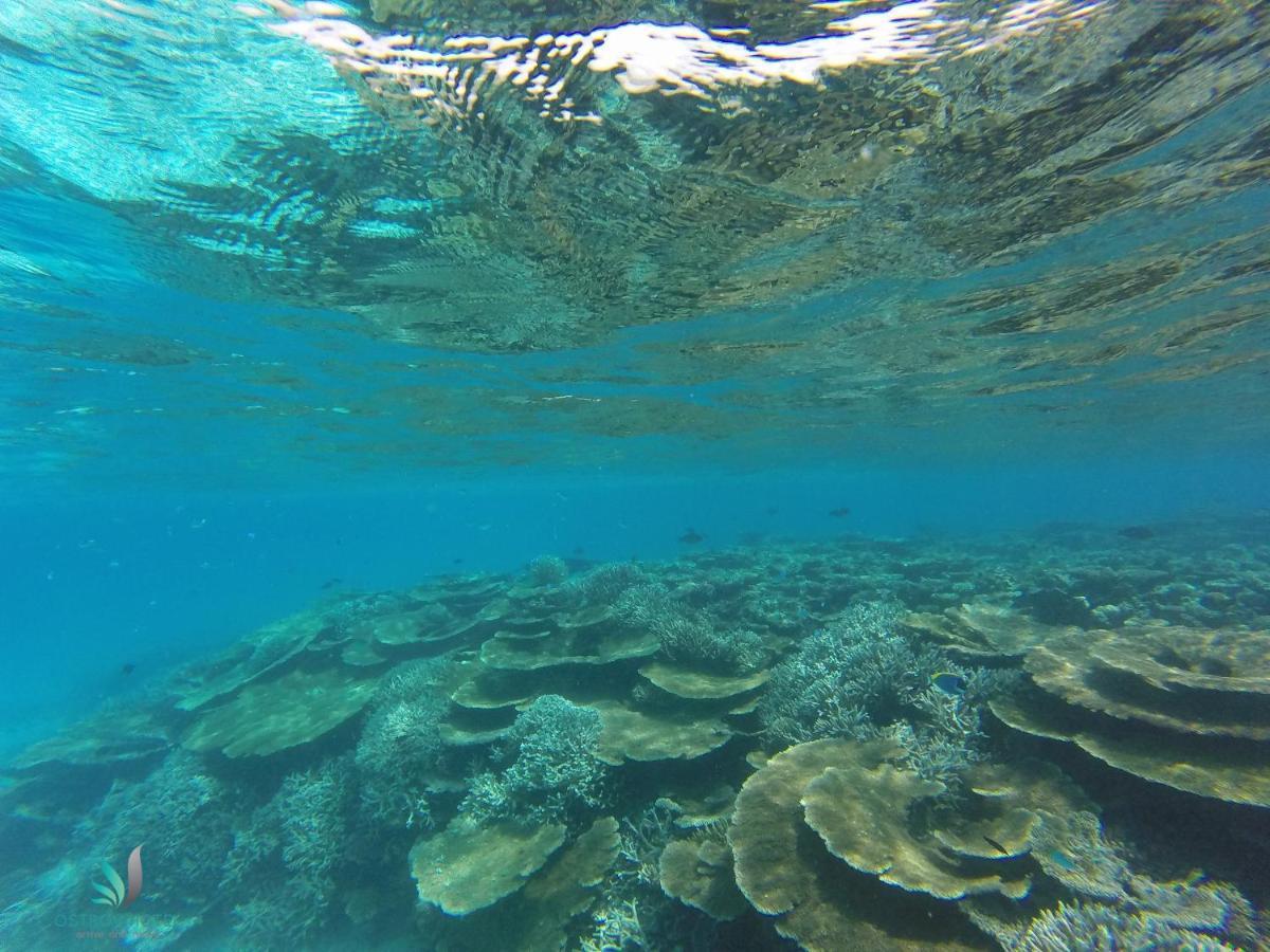 Ostrov Villa Ukulhas Buitenkant foto