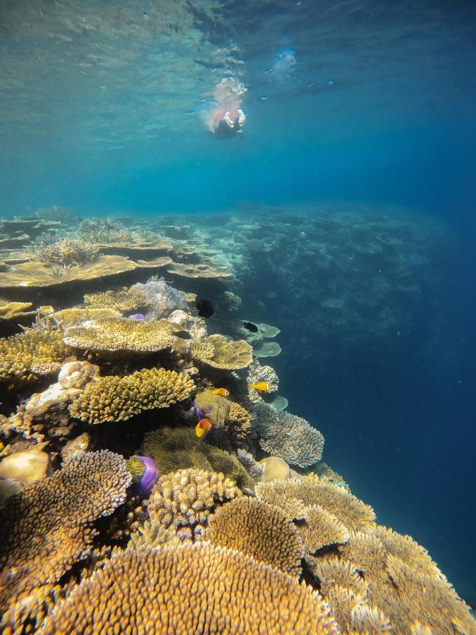 Ostrov Villa Ukulhas Buitenkant foto